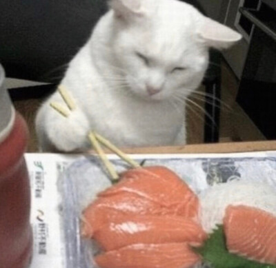 是蛆装什么花蝴蝶
