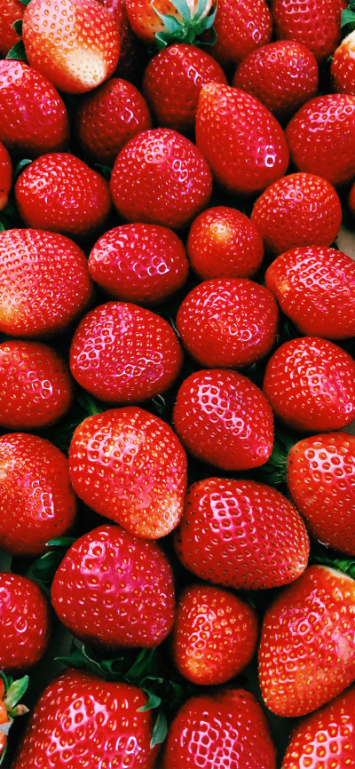 缤纷～☁No.十三期