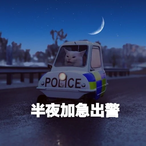 出警
