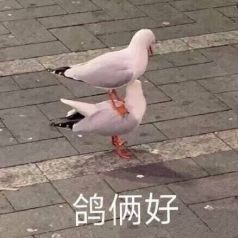 表情包搞笑｜图源微博