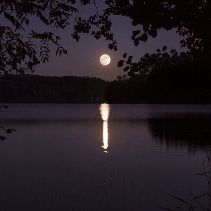  # 靠近光 追随光 成为光 发散光
