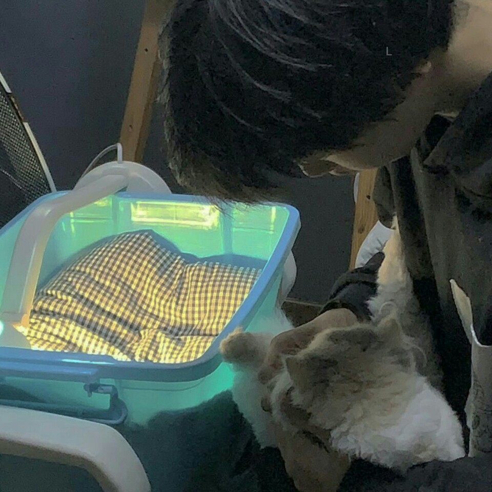 二传注明dt例逃