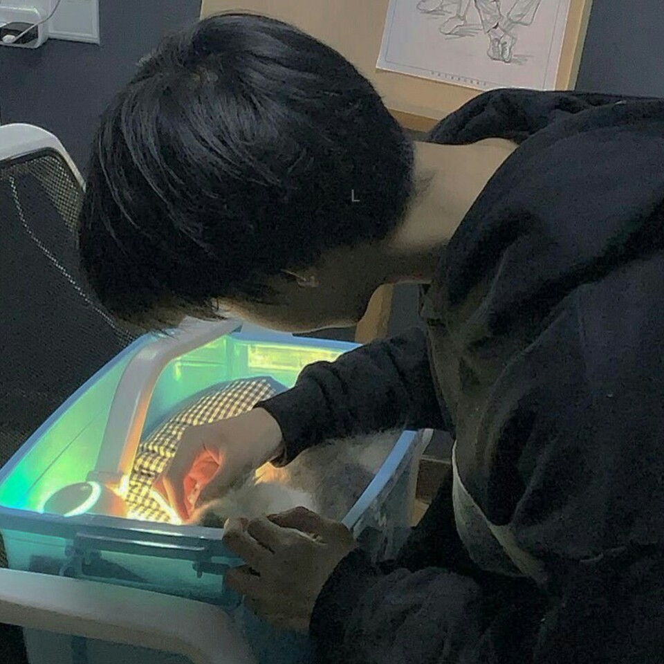 二传注明dt例逃