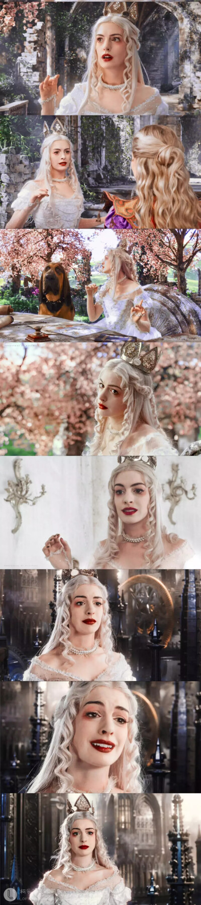 白皇后
图源水印