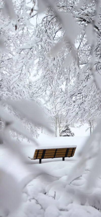 今天大雪