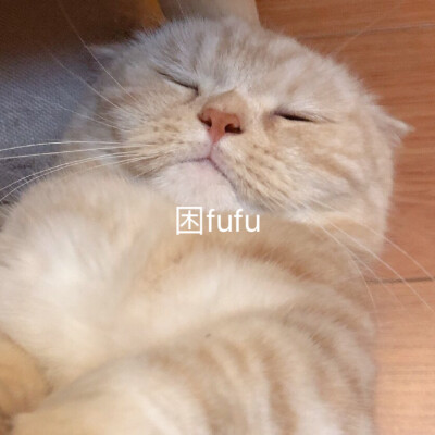 sally，我得不到的小猫咪，表情包，恋爱用
