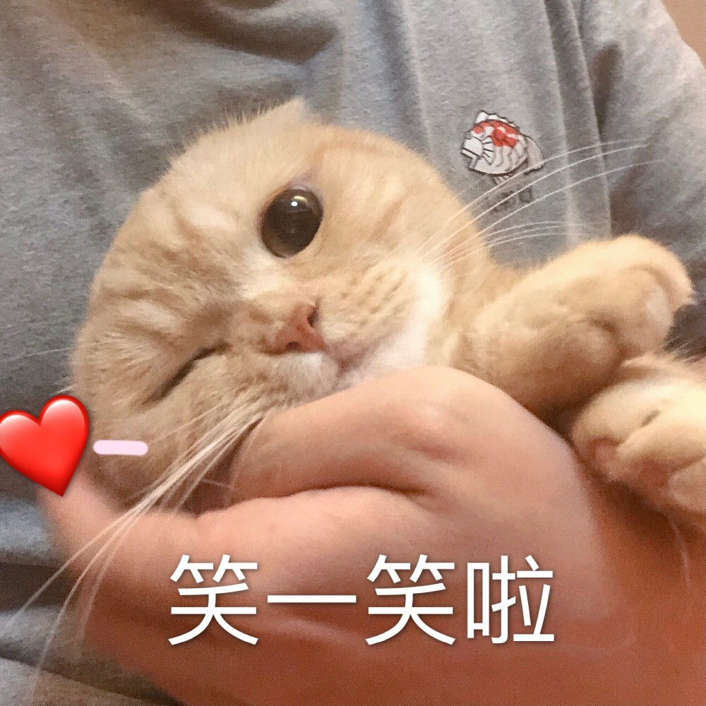 sally，我得不到的小猫咪，表情包，恋爱用