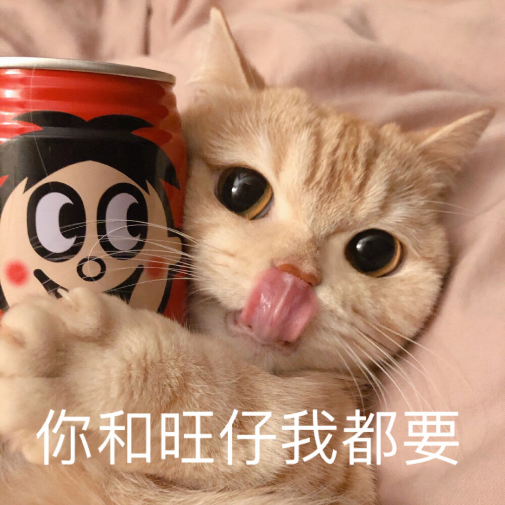 sally，我得不到的小猫咪，表情包，恋爱用