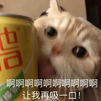 sally，我得不到的小猫咪，表情包，恋爱用