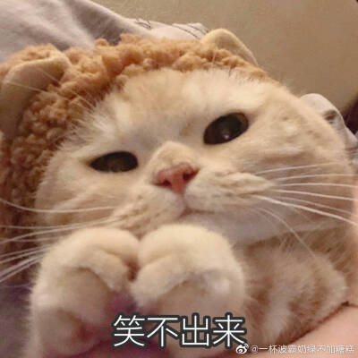 sally，我得不到的小猫咪，表情包，恋爱用