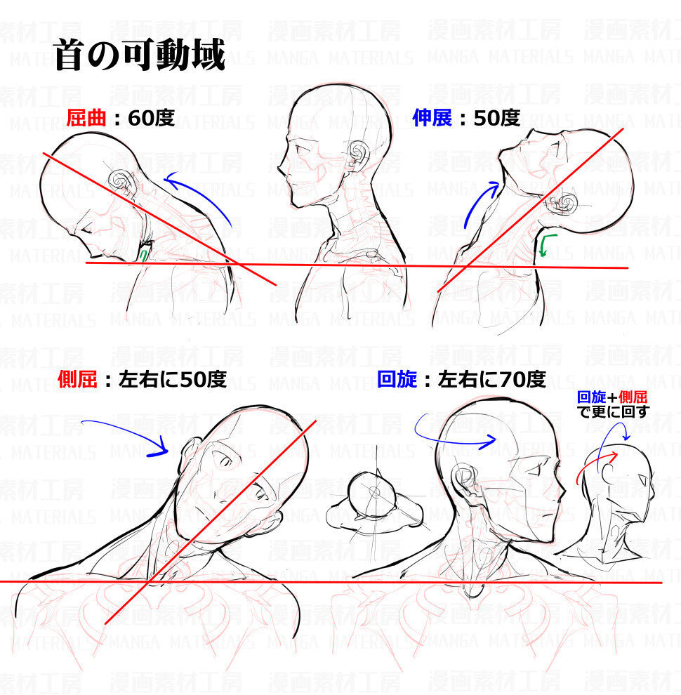 肩颈