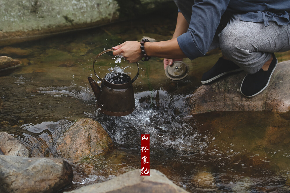 野泉烟火白云间，坐饮香茶爱此山