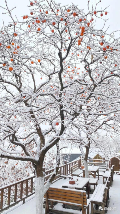 大雪