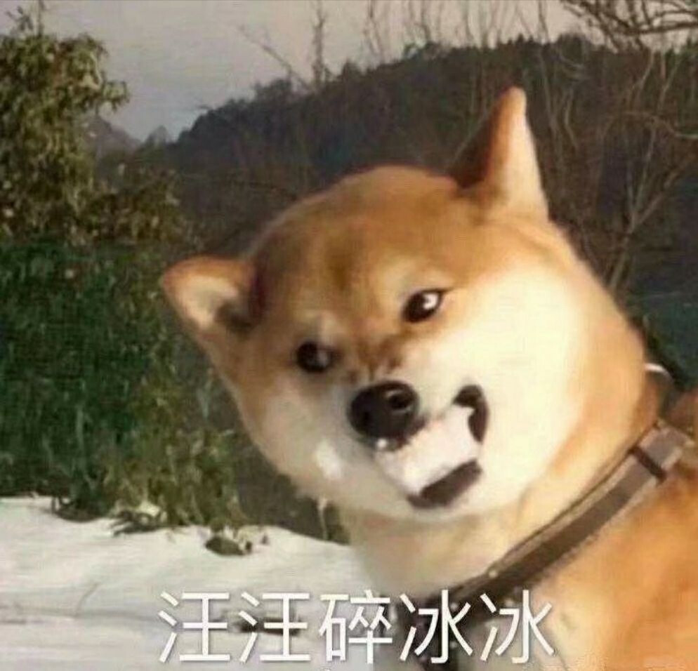 狗狗