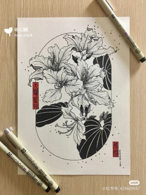 黑白画