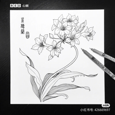 黑白画