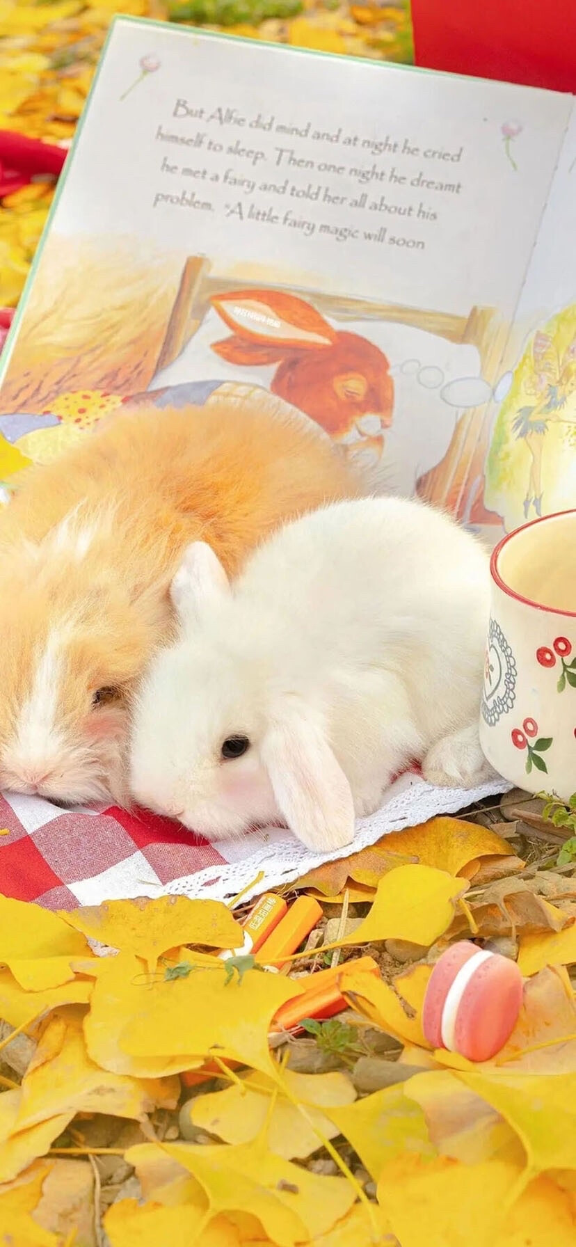 随意就好-_-壁纸