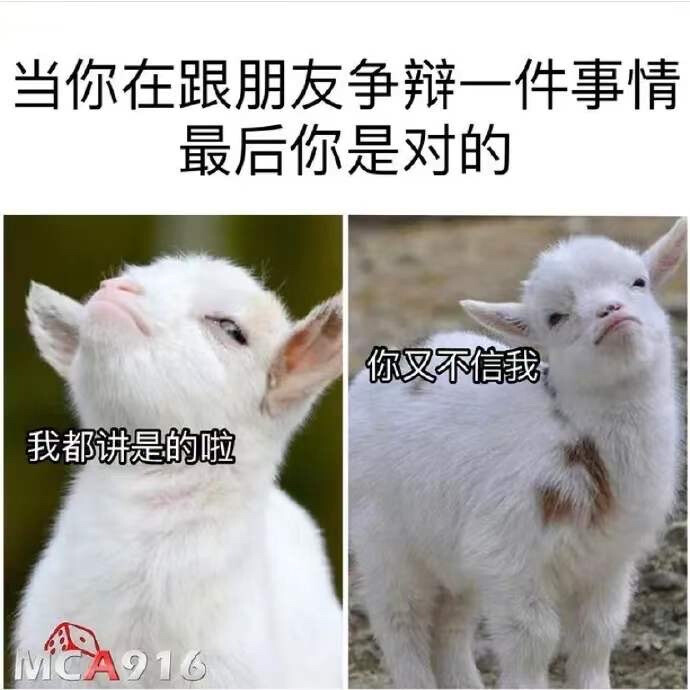 博你一笑