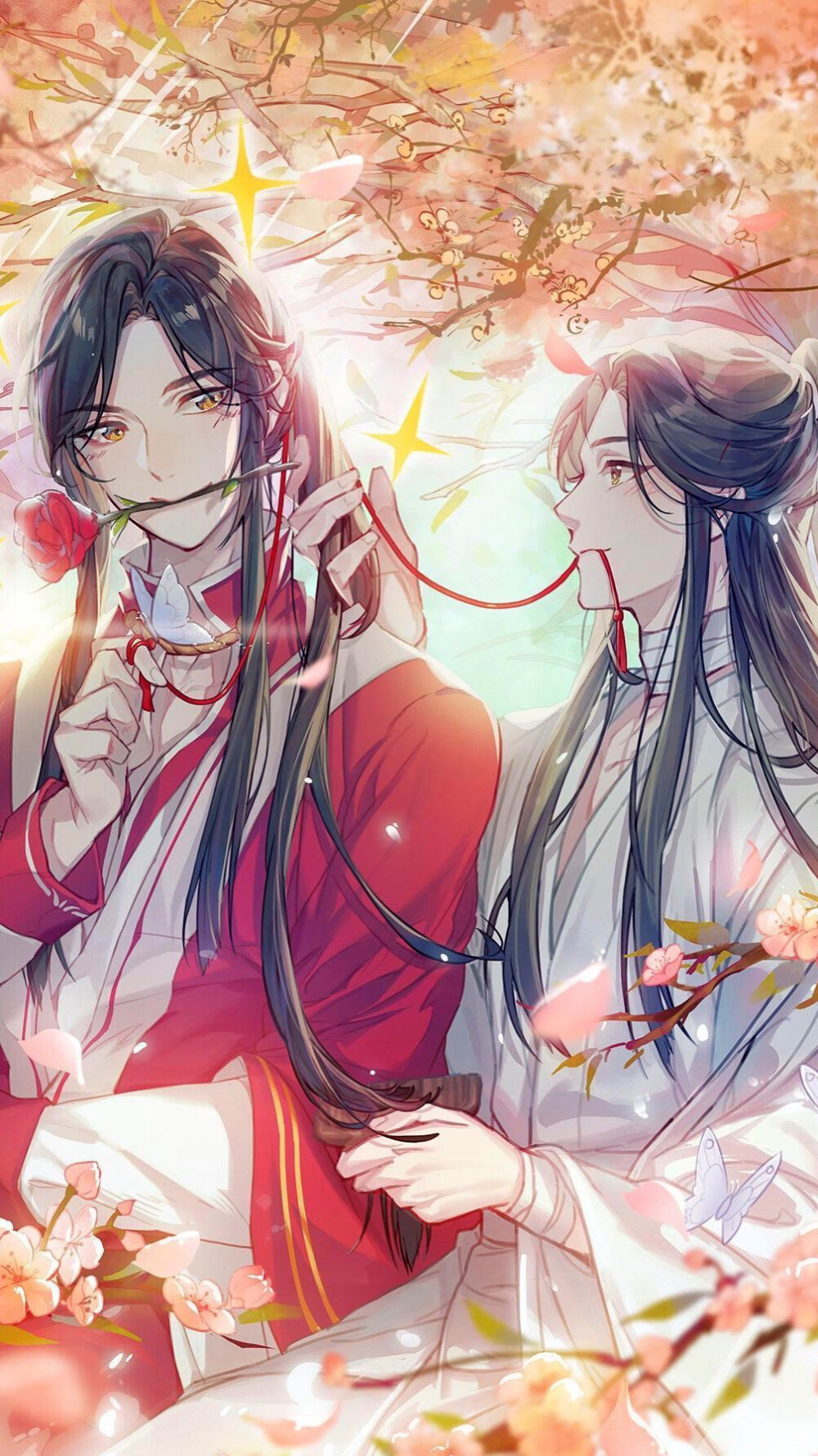 天官赐福
花城 谢怜
＃壁纸