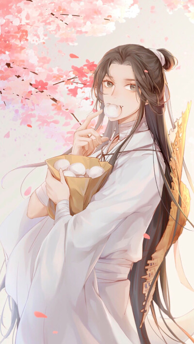 天官赐福
花城 谢怜
＃壁纸