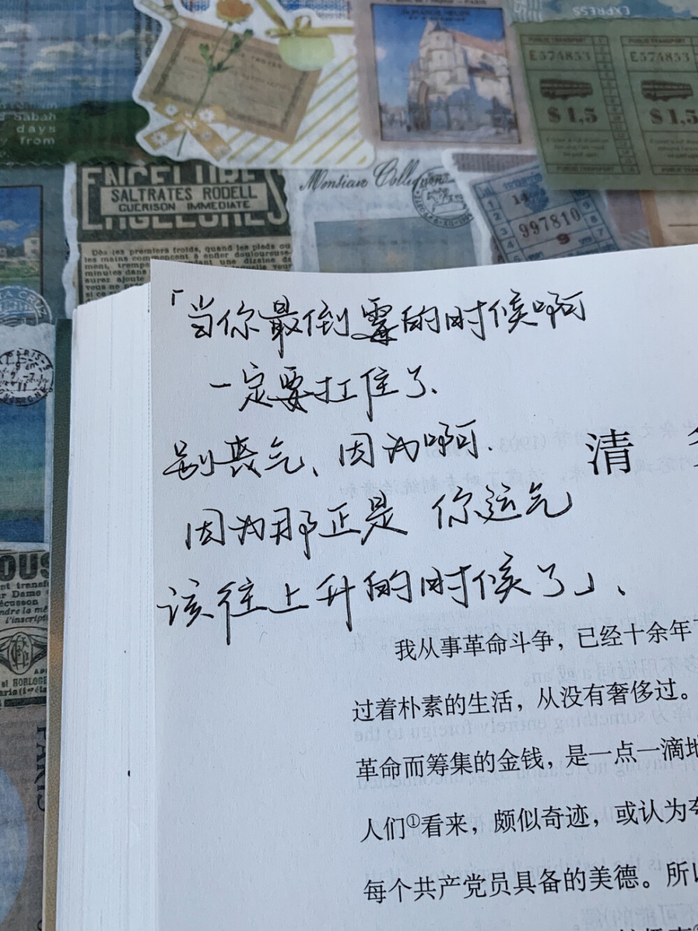 语录分享
手写字帖：屿鱼文创—小熊手写体
背景书：《英译中国现代散文》
©️小熊手写-