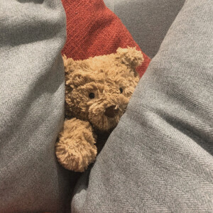 jellycat巴塞罗熊情头
