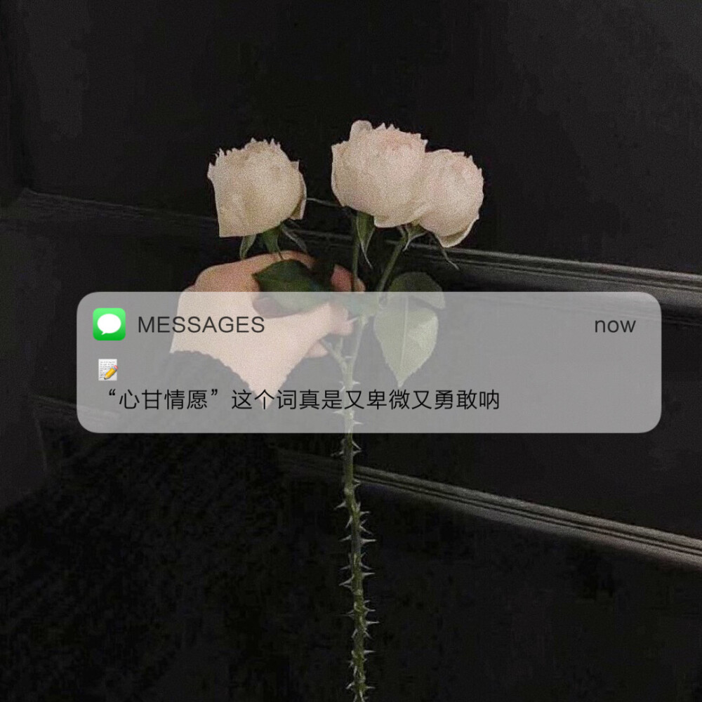 Messages文案 | 朋友圈背景图