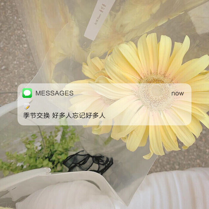 Messages文案 | 朋友圈背景图