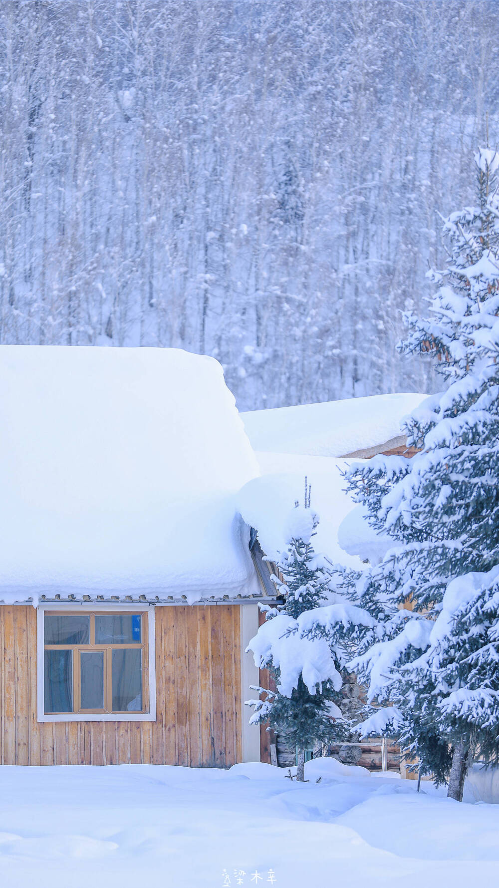 大雪