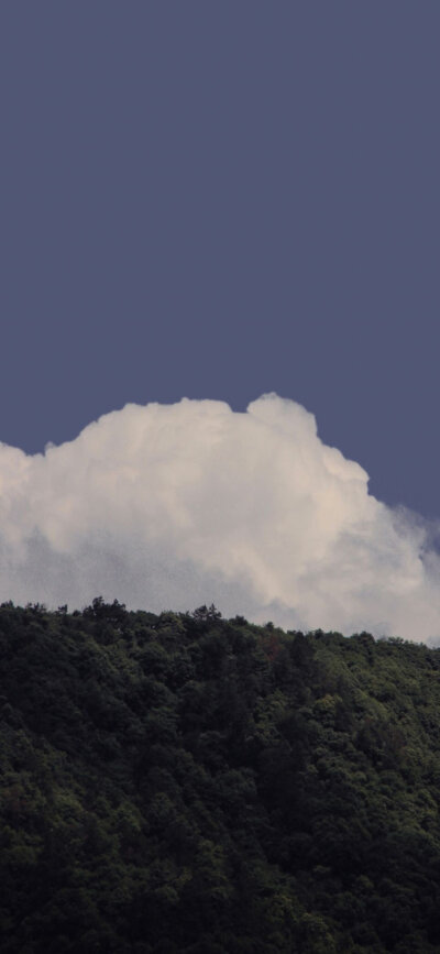 手机壁纸@活該被我綠