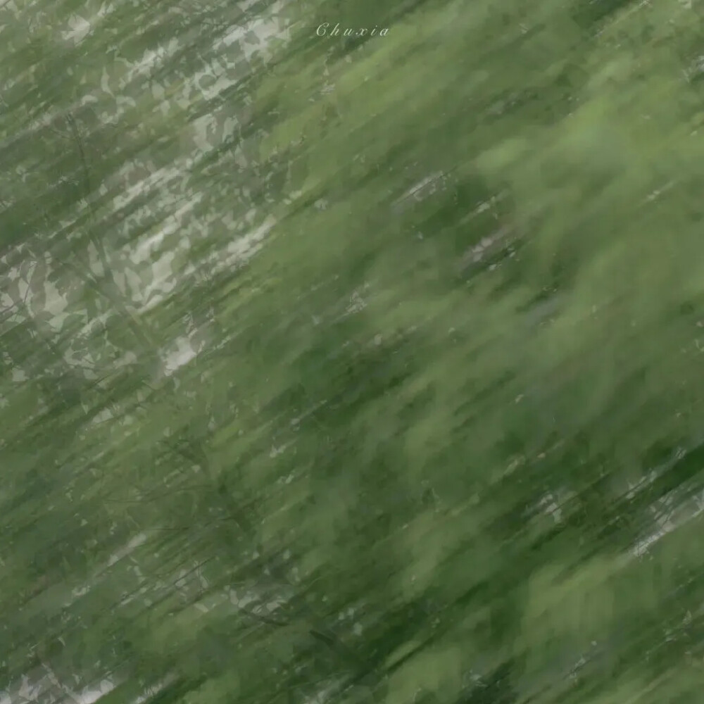 朋友圈套图
侵删