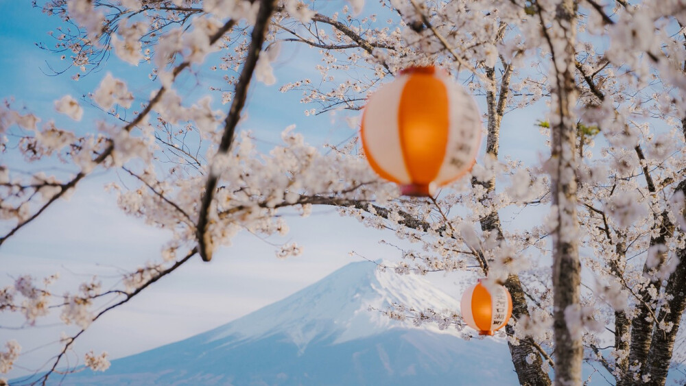 雪景