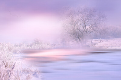 雪景