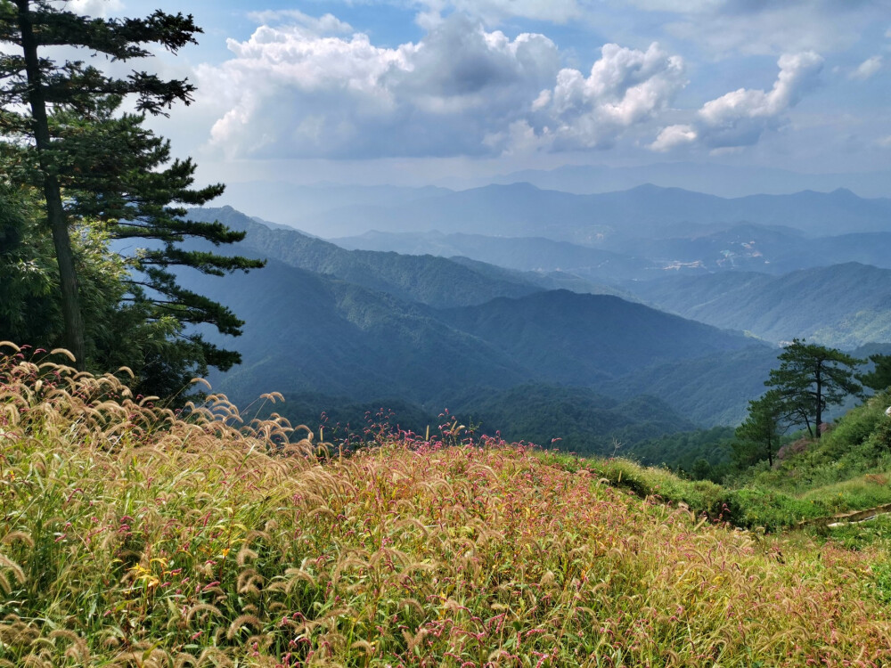 葛仙山