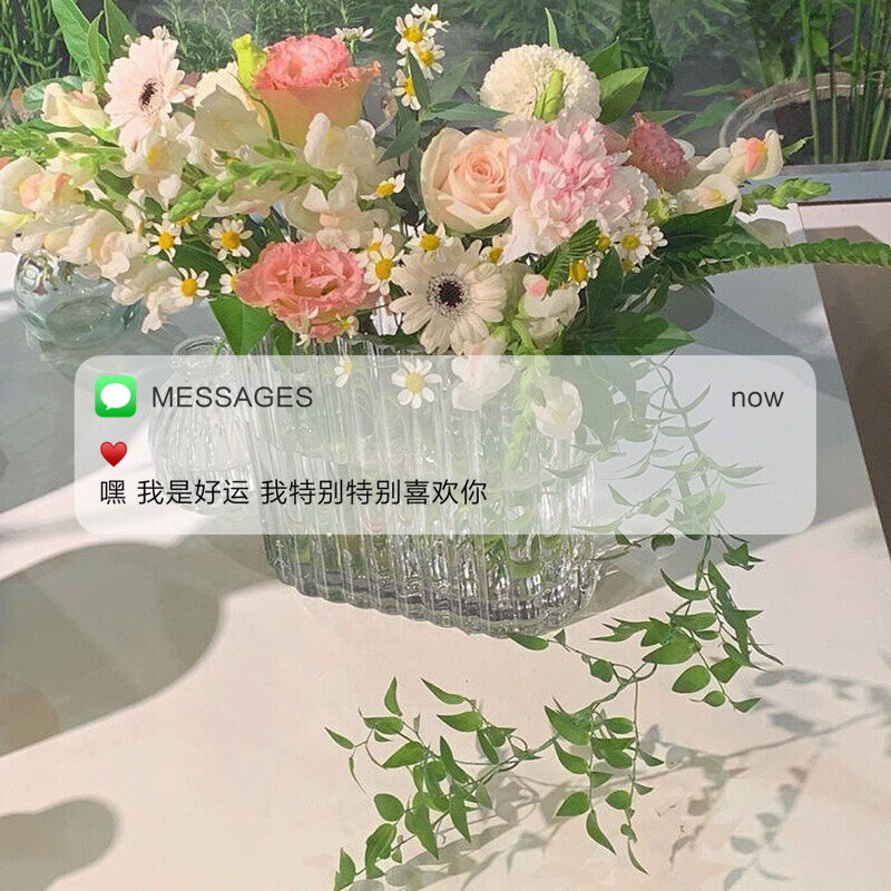 Messages文案 | 朋友圈背景图