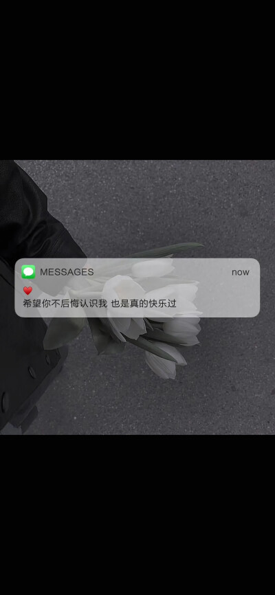 messages短信文字~ 温暖文字~情感~爱情