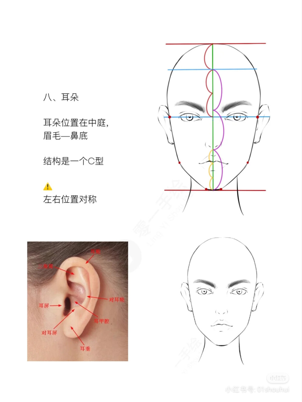 五官