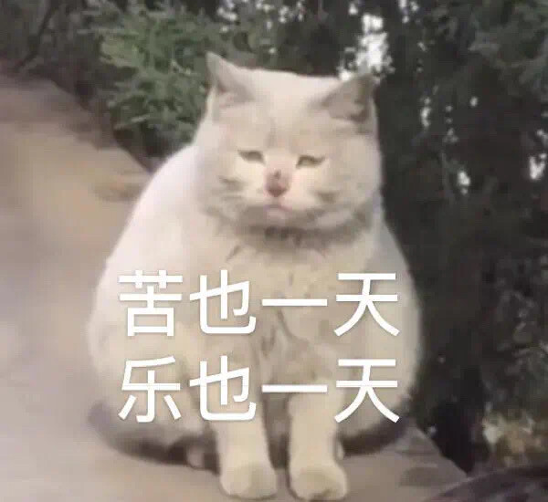 苦也一天，乐也一天