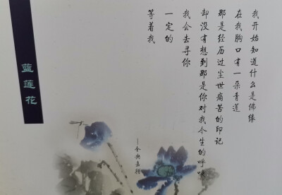 蓝莲花