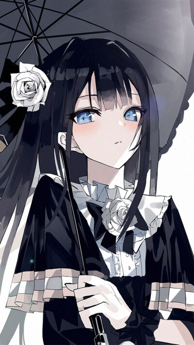 我仅是不愿，见寓意着圆满的合欢，晚景凄凉。