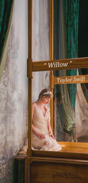 Taylor Swift - willow
[weibo@TayTayLe]