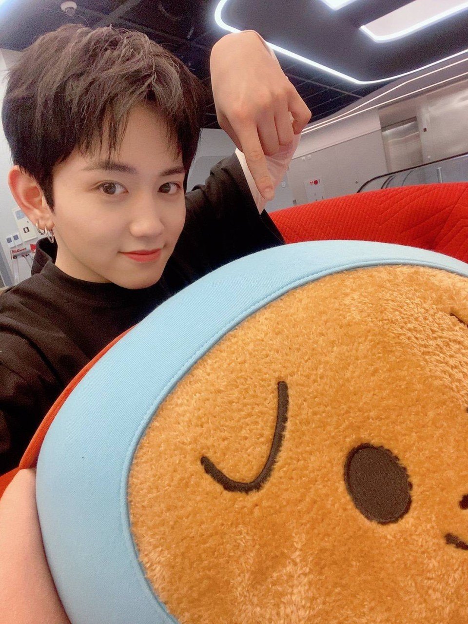 MASHIHO 