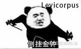 哈利波特 咒语 表情包