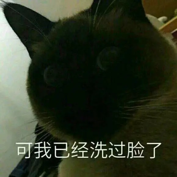 表情包