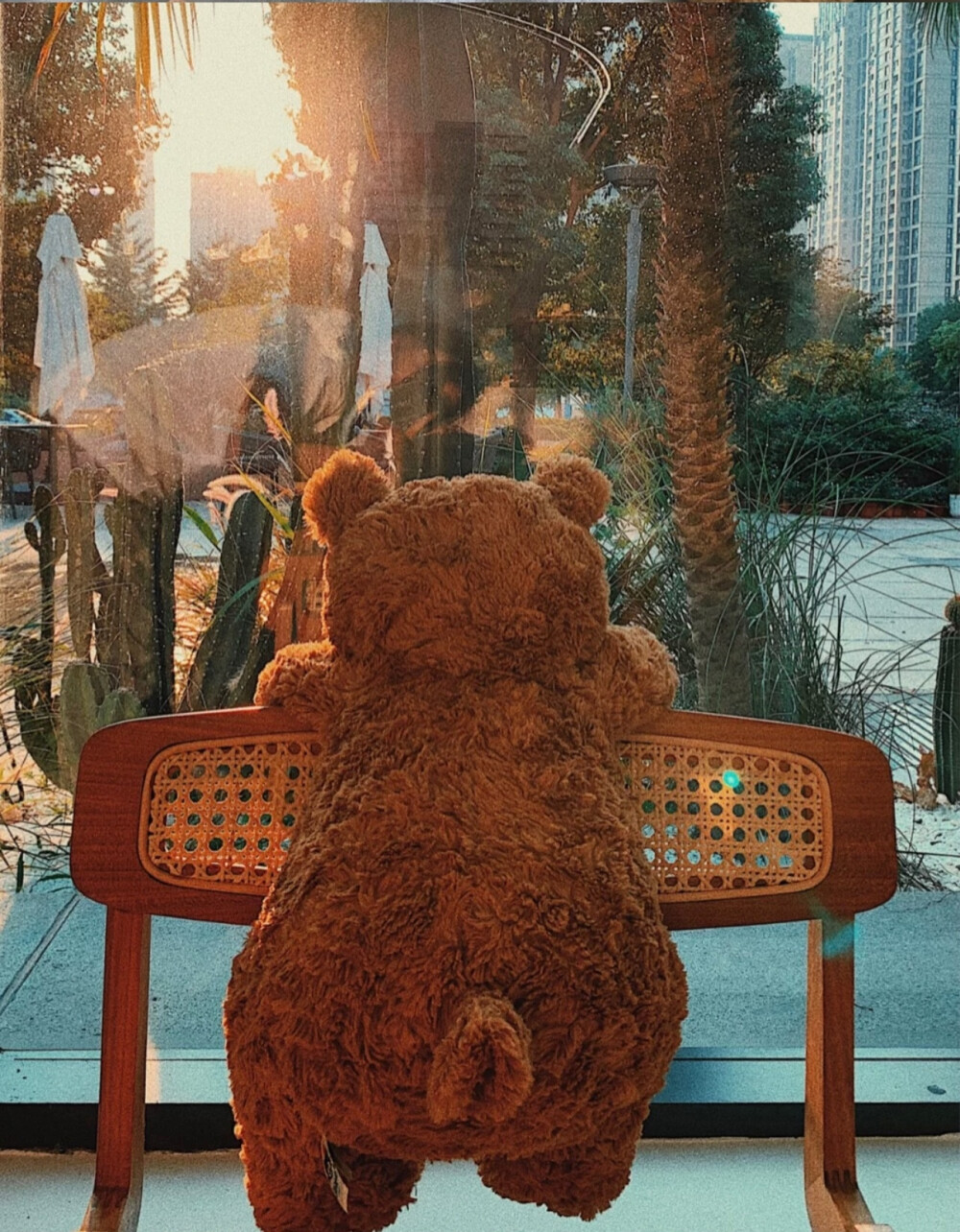 巴塞罗那熊背景图图片