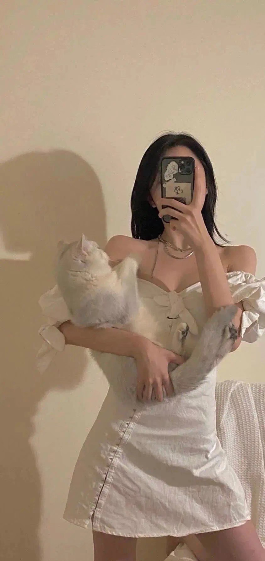 壁纸