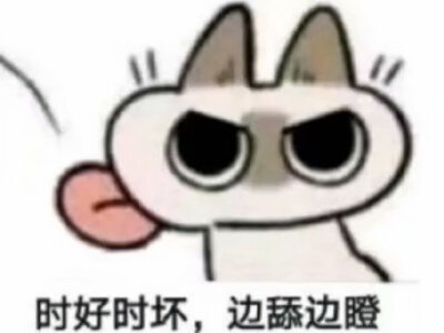 暹罗猫