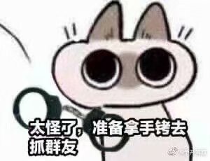 暹罗猫