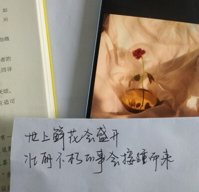 当你看到这个句子
你喜欢的人会更加喜欢你 .