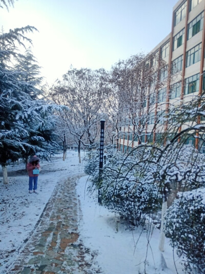 雪雪雪